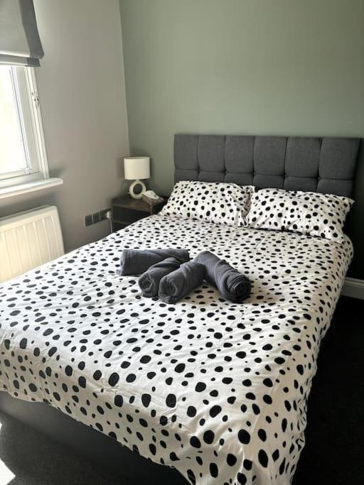 The One-Bedroom Central Brighton Retreat Экстерьер фото